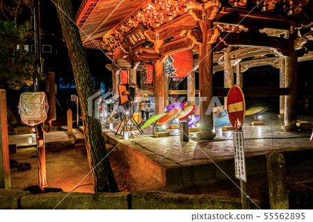 Three views of Japan, Amanohashidate, summer light up Three views of Japan, Amanohashidate, summer light up 55562895
