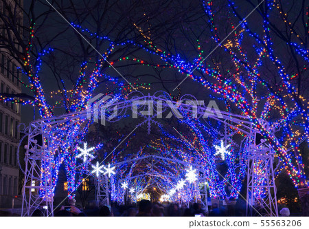 Nakanoshima照明 Nakanoshima照明 55563206