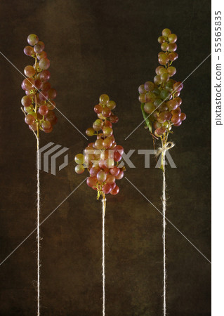 Three ripe bunches of grapes against a dark Three ripe bunches of grapes against a dark 55565835