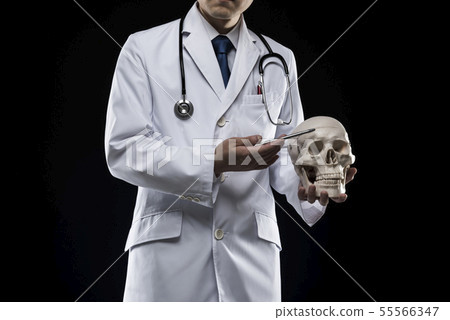 Doctor human model Doctor human model 55566347