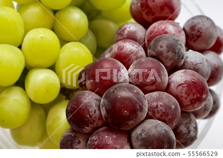 Shine Muscat and Pione Shine Muscat and Pione 55566529