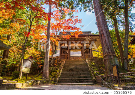 Autumn Shiga Koto Sanzan Seimei-ji Nitenmon Autumn Shiga Koto Sanzan Seimei-ji Nitenmon 55566576