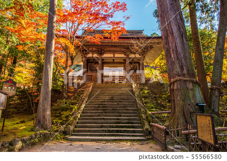 秋天滋賀江東三山清明寺Nitenmon 秋天滋賀江東三山清明寺Nitenmon 55566580