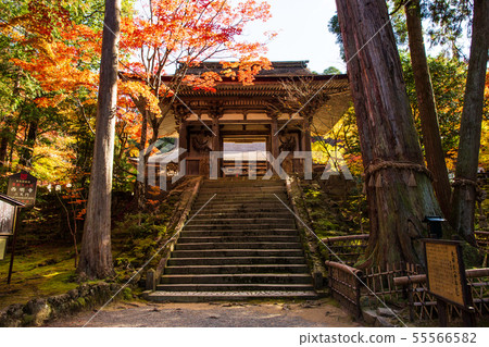 Autumn Shiga Koto Sanzan Seimei-ji Nitenmon Autumn Shiga Koto Sanzan Seimei-ji Nitenmon 55566582