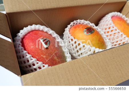 Three mangoes in the box 55566650