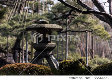 Kenrokuen Winter 55566869