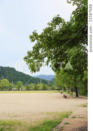 夏季公園 夏季公園 55567089