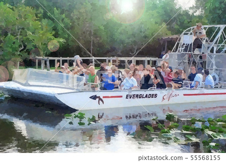 Everglades National Park Airboat sightseeing image 55568155