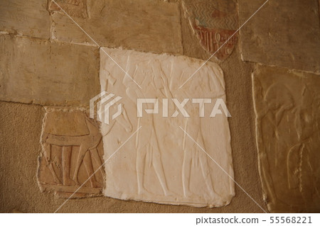 Egyptian Valley Landscape Egyptian Valley Landscape 55568221