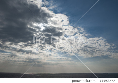 Shining sea surface 55568272