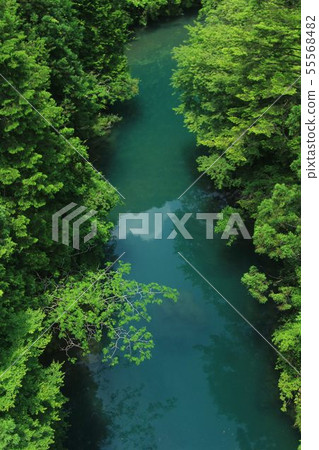 Ninokawa-cho，Kochi Pref。 55568482