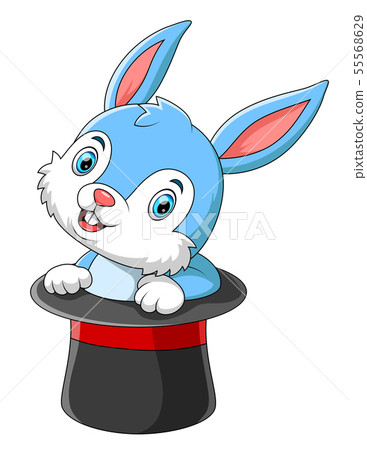 Cute cartoon rabbit in magic hat Cute cartoon rabbit in magic hat 55568629