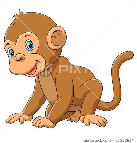 A cute monkey with white background A cute monkey with white background 55568634