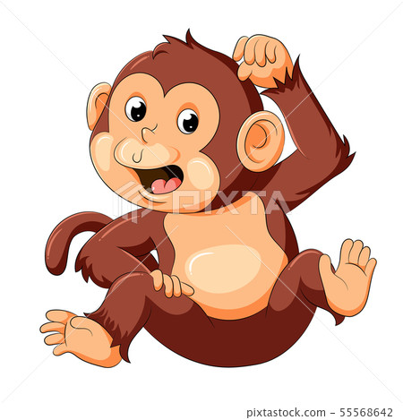 baby monkey with good posing baby monkey with good posing 55568642