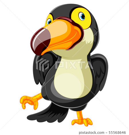 funny toucan cartoon dancing funny toucan cartoon dancing 55568646