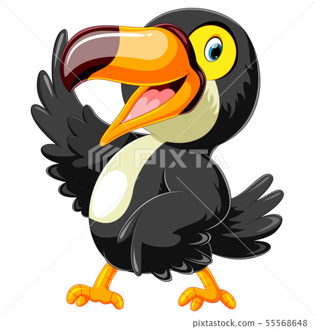 happy toucan cartoon with presentation happy toucan cartoon with presentation 55568648