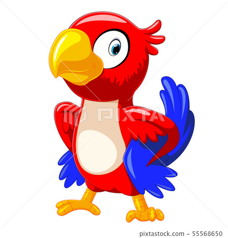 cute red parrot cartoon with good posing cute red parrot cartoon with good posing 55568650