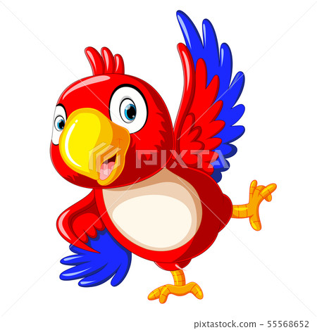 happy parrot cartoon dancing 55568652