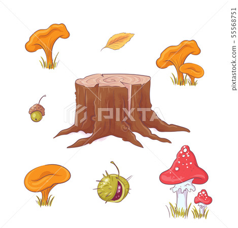 Set in the style of hand drawing forest stump, mushrooms and berries, autumn and leaves. Set in the style of hand drawing forest stump, mushrooms and berries, autumn and leaves. 55568751