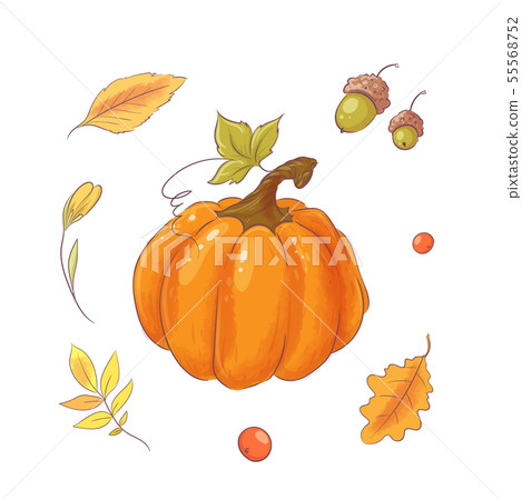 Set in the style of hand drawing pumpkin, autumn and leaves. 55568752