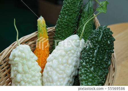 Morning bitter gourd 55569586