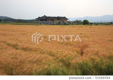 慶州，Bunhwang歷史博物館，大麥場 55569764