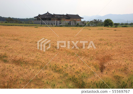慶州,Bunhwang歷史博物館,大麥場 慶州,Bunhwang歷史博物館,大麥場 55569767