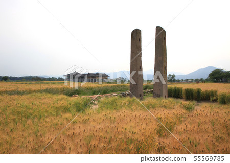 慶州,Bunhwang歷史博物館,大麥場 慶州,Bunhwang歷史博物館,大麥場 55569785