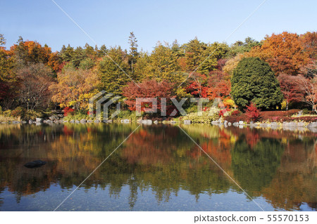 在海濱的秋季風景 在海濱的秋季風景 55570153