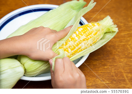 玉米 玉米 55570391