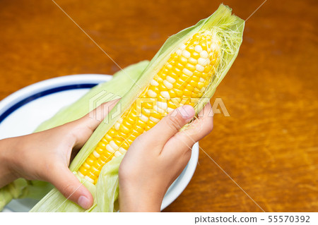 玉米 玉米 55570392