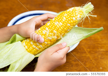 玉米 玉米 55570393
