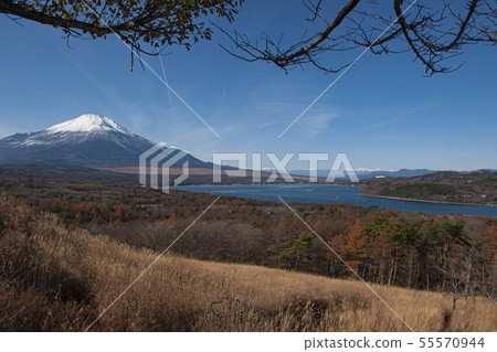 雪富士和山中湖 55570944