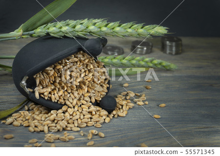Wheat seeds spilling from purse and fresh ear 55571345