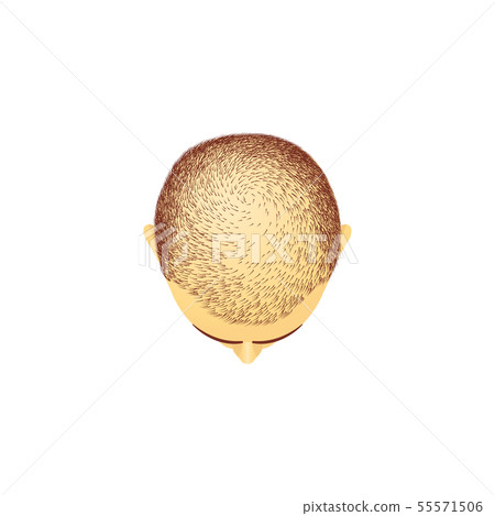 Top view of male head with baldness cartoon style Top view of male head with baldness cartoon style 55571506