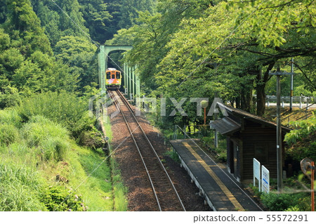 Tarumi Railway Tarumi Line-Hinata Station [Motosu City, Gifu Prefecture] 55572291