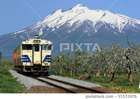 穿過Gono線和春天蘋果田的定期列車 55572976