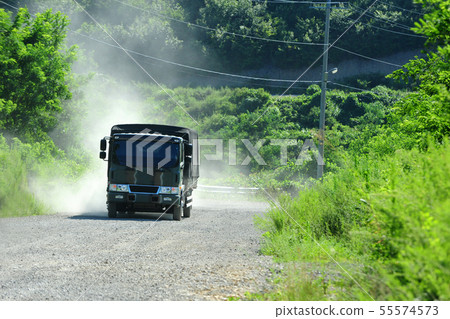 camion 55574573