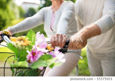 senior couple with bicycles at summer park 55575053