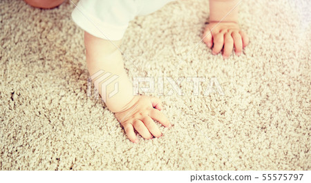 hands of baby crawling on floor or carpet 55575797