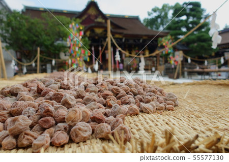 京都北野天滿宮舉行道用梅干和參拜堂 55577130