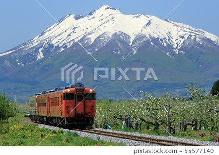 穿過Gono線和春天蘋果田的定期列車 穿過Gono線和春天蘋果田的定期列車 55577140