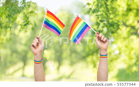 hands with gay pride rainbow flags and wristbands hands with gay pride rainbow flags and wristbands 55577344