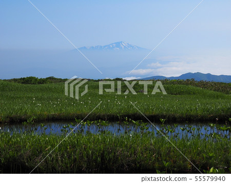 Tsukiyama Yabagahara和Chokaiyama 55579940