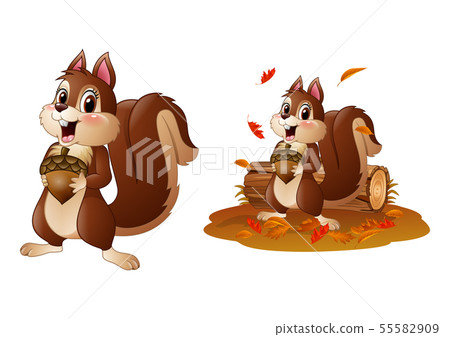 Cartoon funny squirrel holding pine cone 55582909