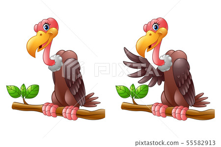 Cartoon Vulture on a tree branch collections Cartoon Vulture on a tree branch collections 55582913