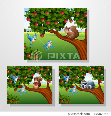 Cartoon squirrel and racoon on the tree collection 55582966