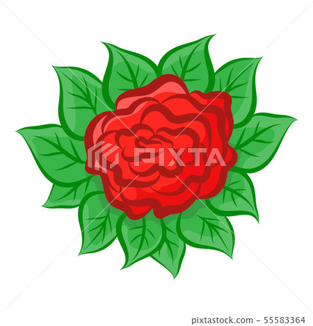 red flower isolated illustration on white red flower isolated illustration on white 55583364