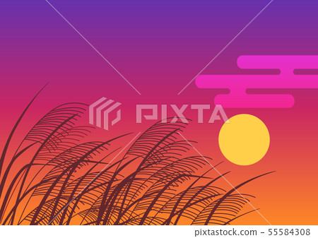 Susuki和夕陽 55584308