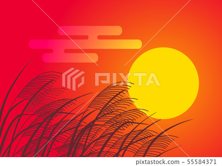 Susuki和夕陽 55584371